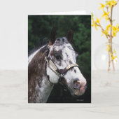 Het Paard Headshot 2 van Appaloosa Kaart (Gele Bloem)