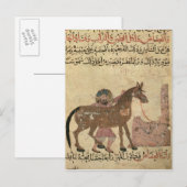 Het paard, illustratie briefkaart (Voorkant / Achterkant)