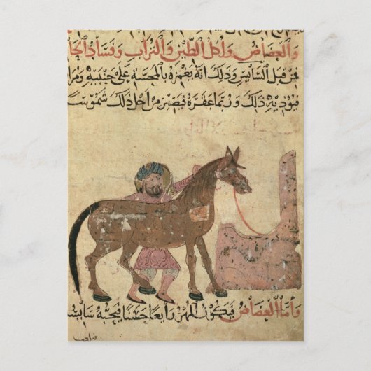 Het paard, illustratie briefkaart (Voorkant)