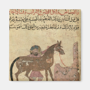 Het paard, illustratie magneet