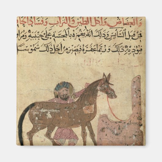 Het paard, illustratie magneet (Voorkant)
