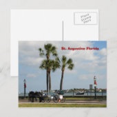 het paard in augustine florida briefkaart (Voorkant / Achterkant)