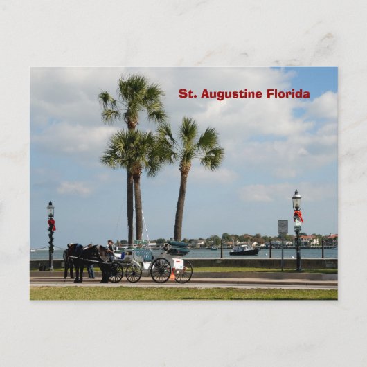 het paard in augustine florida briefkaart (Voorkant)