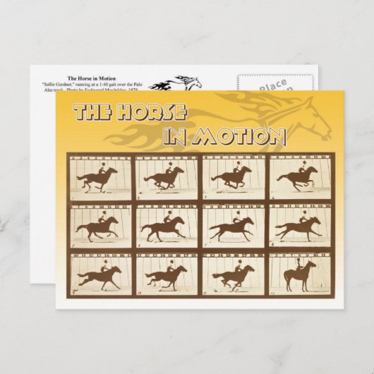 Het paard in beweging briefkaart (Voorkant / Achterkant)