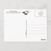 Het paard in beweging briefkaart (Achterkant)