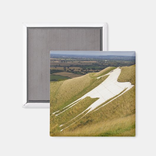 Het paard magneet (Voorkant / Achterkant)