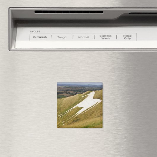 Het paard magneet (Insitu (Vaatwasser))