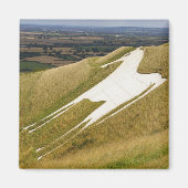 Het paard magneet (Voorkant)