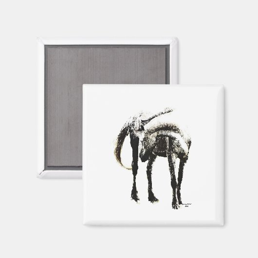 Het paard magneet (Voorkant / Achterkant)