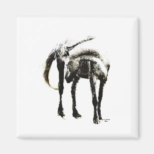 Het paard magneet