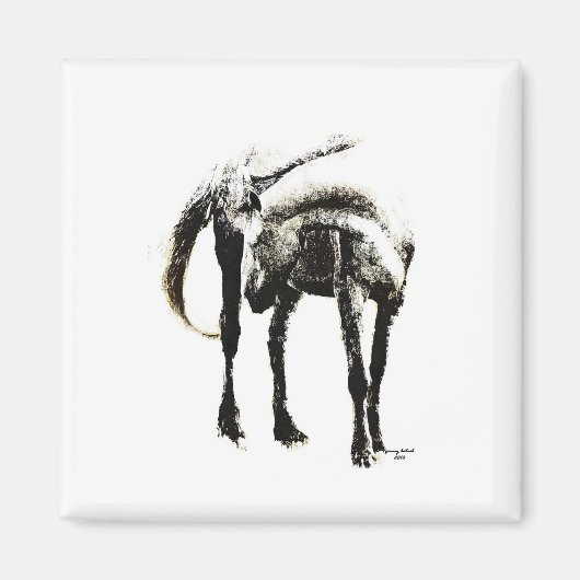 Het paard magneet (Voorkant)