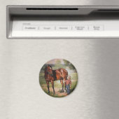 Het paard magneet (Insitu (Vaatwasser))