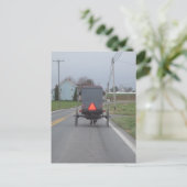 Het Paard van Amish & Briefkaart Met fouten (Staand voorkant)