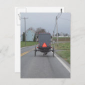 Het Paard van Amish & Briefkaart Met fouten (Voorkant / Achterkant)