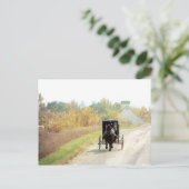 Het Paard van Amish van de herfst en Met fouten Briefkaart (Staand voorkant)