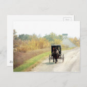 Het Paard van Amish van de herfst en Met fouten Briefkaart (Voorkant / Achterkant)