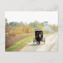 Het Paard van Amish van de herfst en Met fouten Briefkaart