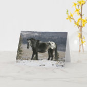 Het Paard van Appaloosa in de Sneeuw Kaart (Gele Bloem)