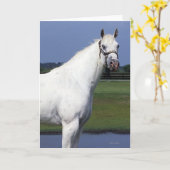 Het Paard van Appaloosa Kaart (Gele Bloem)