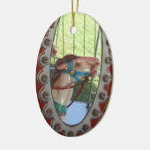 Het Paard van de carrousel in het Ornament van de (Links)