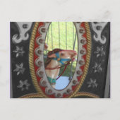 Het Paard van de carrousel in het Zwarte Witte Briefkaart (Voorkant)