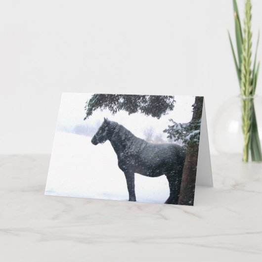 Het Paard van de sneeuw Feestdagen Kaart (Voorkant)