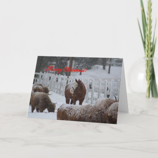 Het paard van de sneeuw, Vrolijke Kerstmis! Feestdagen Kaart (Voorkant)