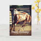 Het Paard van de verf, Verjaardag Kaart (Gele Bloem)