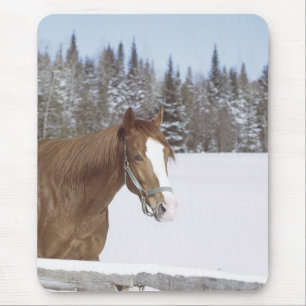 Het Paard van de winter Muismat