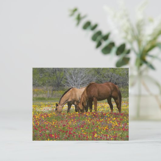 Het Paard van het kwart op gebied van wildflowers Briefkaart (Staand voorkant)