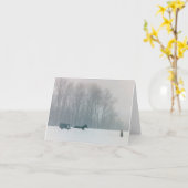 HET PAARD VAN HET MAN AMISH & PA DE MET FOUTEN VAN KAART (Gele Bloem)