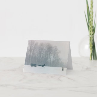 HET PAARD VAN HET MAN AMISH & PA DE MET FOUTEN VAN KAART