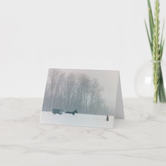 HET PAARD VAN HET MAN AMISH & PA DE MET FOUTEN VAN KAART (Voorkant)