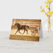 Het Paard van het Ras van Standardbred Kaart (Gele Bloem)