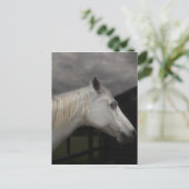 Het paard van het storm briefkaart (Staand voorkant)