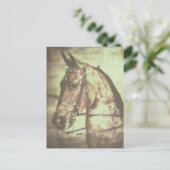 Het Paard van Saddlebred Briefkaart (Staand voorkant)