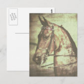 Het Paard van Saddlebred Briefkaart (Voorkant / Achterkant)