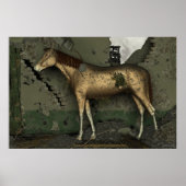 Het paard van stro poster (Voorkant)