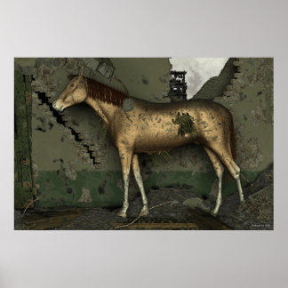 Het paard van stro poster