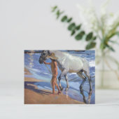 Het paard wassen briefkaart (Staand voorkant)