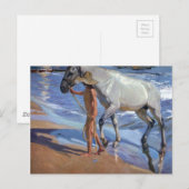 Het paard wassen briefkaart (Voorkant / Achterkant)
