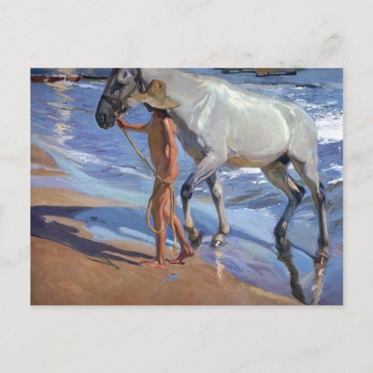 Het paard wassen briefkaart (Voorkant)