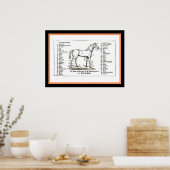 Het paardendiagram poster (Keuken)