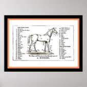 Het paardendiagram poster (Voorkant)