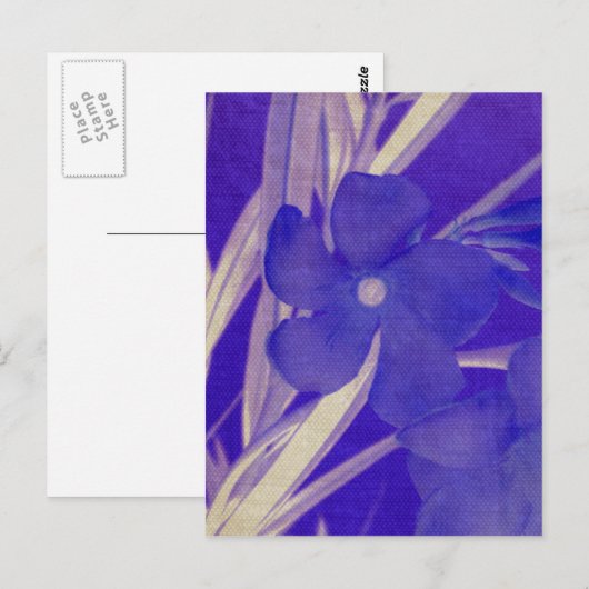 Het paarse Briefkaart van de Bloem (Voorkant / Achterkant)