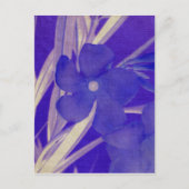 Het paarse Briefkaart van de Bloem (Voorkant)