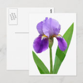 Het paarse Briefkaart van de Iris (Voorkant / Achterkant)