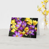 Het paarse en gele wenskaart van krokusbloemen kaart (Gele Bloem)
