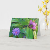 Het paarse Exotische Wenskaart van het Plant van Kaart (Gele Bloem)