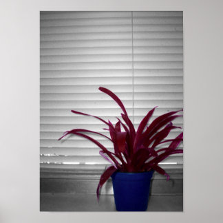 Het Paarse Plant Poster